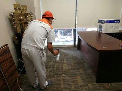 高效除甲醛实战案例解析