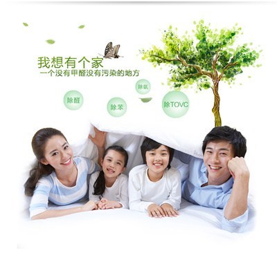 江北区除甲醛，选择永秀清洁的专业之道