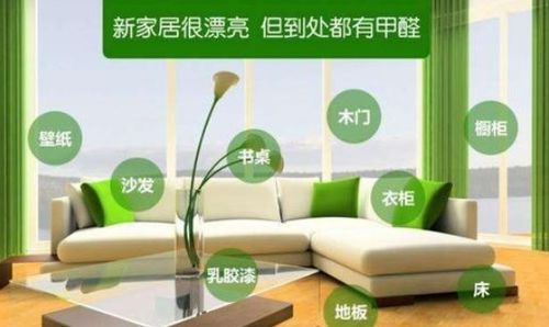 如何快速去除新家具的甲醛及空气净化器租赁指南