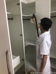 装修后除甲醛 高效快捷的方法与实用指南