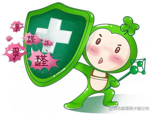 如何选择正规除甲醛公司与空气净化器租赁服务