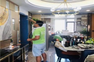 铁岭除甲醛 守护健康家居，科学治理刻不容缓